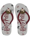 Cerda Chanclas Premium Harry Potter Talla T033