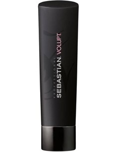 sebastian_professional_volupt_champú_250_ml_4015600089450_oferta