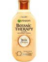 Garnier Botanic Therapy Champú Regenerador y Protector Con Miel y Própolis 400ml