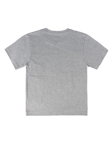 _color_gris