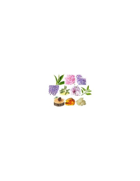 Perfume Fragrance World Eclat La Violette 100 ml Para Mujer | Kiwiku