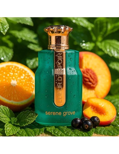Comprar Emir Serene Grove Lueur D’Espoir Eau De Parfum 100ml Unisex | Kiwiku