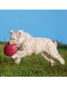 Trixie Frisbee para Perros 22 Cm Modelo 33502 Colores Surtidos