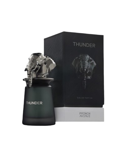 french_avenue_thunder_eau_de_parfum_unisex_100_ml_6290360379517_promocion