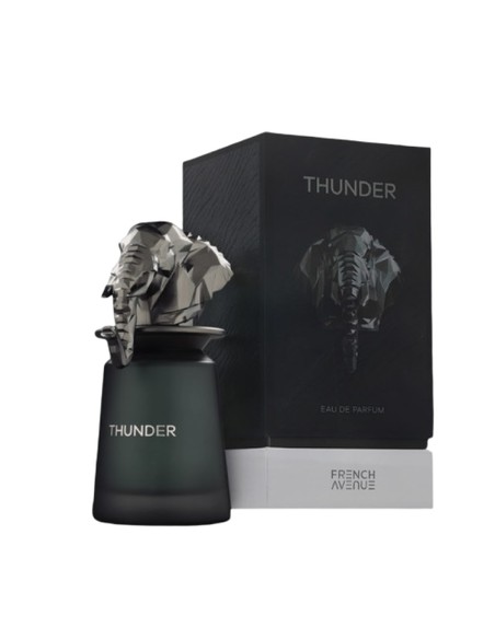 french_avenue_thunder_eau_de_parfum_unisex_100_ml_6290360379517_promocion