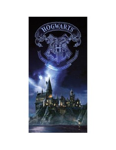 sd_toys_poster_de_vidrio_harry_potter_30x60cm_8435450249983_oferta
