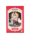 Radhe Shyam Henna en Polvo Super Caoba Luminoso 100g