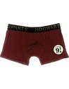 Harry Potter Calzoncillos Boxer Hogwarts Express Platform Talla Xl