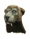 Ghoulish Accesorio de Cabeza Puma Talla Única Unisex