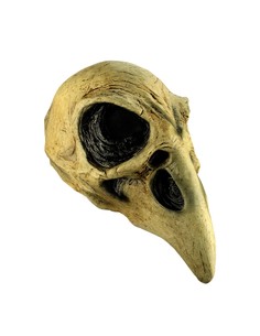 ghoulish_máscara_cráneo_de_cuervo_talla_Única_para_halloween_y_disfraz_de_terror_0886390263450_oferta