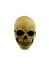 Ghoulish Máscara Cráneo de Hueso Talla Única para Halloween y Disfraz de Terror