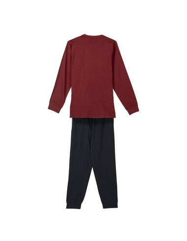 cerda_pijama_largo_single_jersey_escudo_gryffindor_talla_l_8445484335798_promocion