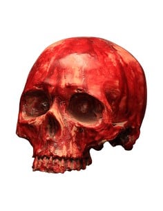 ghoulish_artículo_decorativo_cráneo_de_resina_sangriento_18_cm_0886390270380_oferta