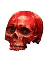 Ghoulish Artículo Decorativo Cráneo de Resina Sangriento 18 Cm