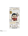 Pack de Borradores Harry Potter Viktor
