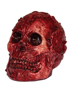 ghoulish_cráneo_descarnado_artículo_de_decoración_para_halloween_y_temas_góticos_0886390277556_oferta