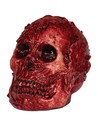 Ghoulish Cráneo Descarnado Artículo de Decoración para Halloween y Temas Góticos