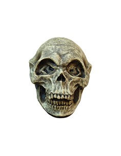 ghoulish_artículo_decorativo_calavera_alien_12