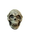 Ghoulish Artículo Decorativo Calavera Alien 12,7 Cm