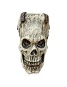 Ghoulish Artículo Decorativo Calavera Frankie 19,8 Cm