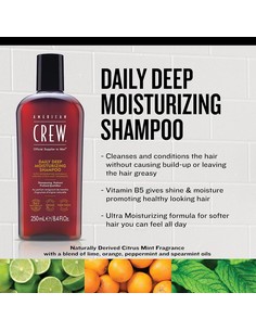 american_crew_daily_deep_moisturizing_shampoo_para_cabello_y_cuero_cabelludo_250_ml_0738678001080_oferta 2