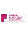 Hurraw Bálsamo Labial Con Color Plantcolor Número 2 4,8 G Stick Natural