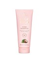 Lee Stafford Coco Loco Shine Shampoo 250 Ml para Cabello Brillante y Hidratado