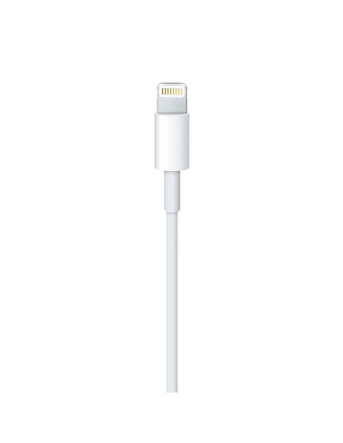 Apple Cable de conector Lightning a USB (50 cm) ME291ZM/A ME291ZM/A kiwiku.com