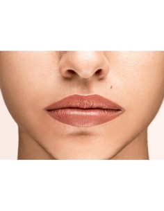 collistar_rosetto_puro_refill_lipstick_100_terra_di_siena_-_barra_de_labios_recargable_en_tonos_tierra 2