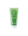 La Walkiria Exfoliante Corporal Aloe Vera 220 Ml - Tratamiento Exfoliante Perfumado sin Parabenos para Piel Suave