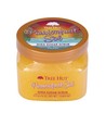 Tree Hut Sugar Scrub Sol de Maracuyá 510 Gr Exfoliante Corporal Natural Con Aceites Esenciales