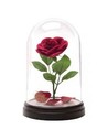 Paladone Lámpara Rosa Encantada de Bella y la Bestia Disney, Diseño Iluminado para Dormitorio Infantil, Altura Aproximada 15 Cm