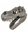 Nemesis Now Decoración de Pared Cráneo de Tiranosaurio Rex Pequeño 39,5 Cm