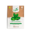 Idc Institute Mascarilla Facial Vegana de Aceite de Hierbas 25 Gr Tratamiento Hidratante Natural