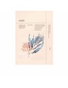 Ondo Beauty 36.5 Hyaluronic Acid & Algae Moisture Boosting Mask 25 Ml