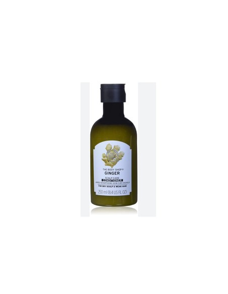 the_body_shop_ginger_scalp_care_conditioner_250_ml_para_cabello_seco_y_cuero_cabelludo_sensible_5028197784829_oferta