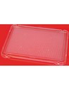 Miniland Educational Pegs: Set de 6 Placas Transparentes para Mosaicos