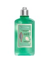L'occitane Fleur de Carotte Gel de Ducha 250 Ml - Hidratante y Refrescante para Piel Suave