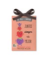 The Fruit Company Ambientador para Armarios Frutos Rojos Con Extractos Naturales 13 G
