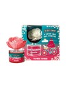 The Fruit Company Flor Perfumada Sandía 50 Ml Ambientador Hogar