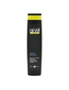 Nirvel Professional Color Champú Color Gris 250 Ml para Canas