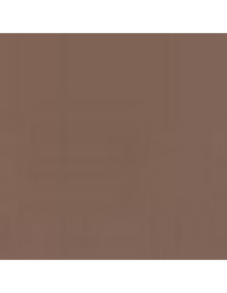 Pintura 843 modelcolor cajita 6 marron corcho
