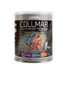 Drasanvi Col?gena Collmar Col?geno + Magnesio + ?cido Hialur?nico Sabor Vainilla 300 Gr