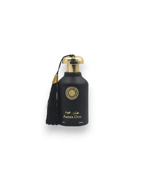 fragrance_world_amber_oud_eau_de_parfum_100_ml_-_fragancia_oriental_amaderada_unisex_3297232632636_promocion