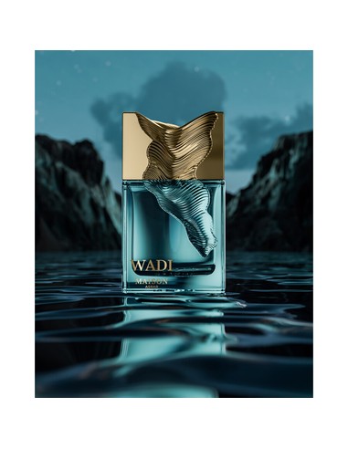 MAISON ASRAR Wadi Collection Eau de Parfum Unisex 100 ml | Kiwiku