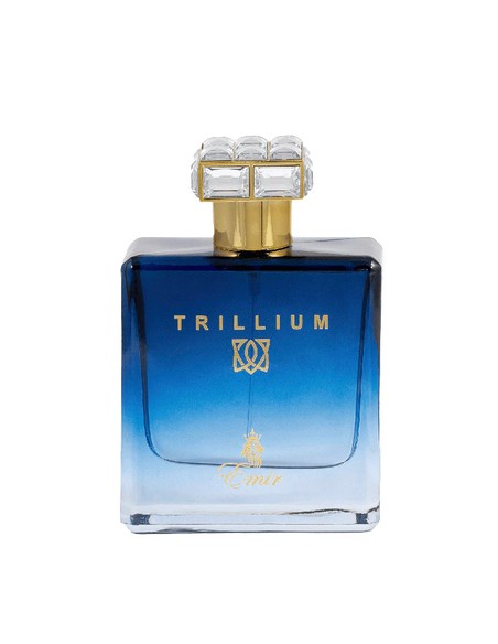 72509 6246717622201 oferta