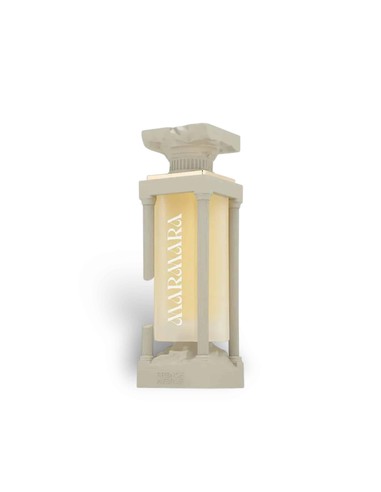 french_avenue_marmara_eau_de_parfum_100_ml_fragancia_oriental_amaderada_para_hombre_y_mujer_6298042001916_promocion
