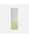 Ahmed Al Maghribi Marin Eau de Parfum 100 Ml Unisex Fragancia Floral Frutal