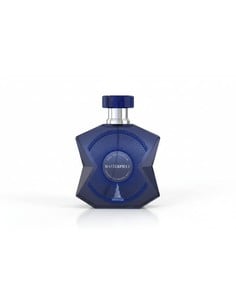 emper_metropolis_masterpiece_eau_de_parfum_100_ml_unisex_fragancia_fresca_aromatizada_holzig_moderna_6291108524213_oferta 2