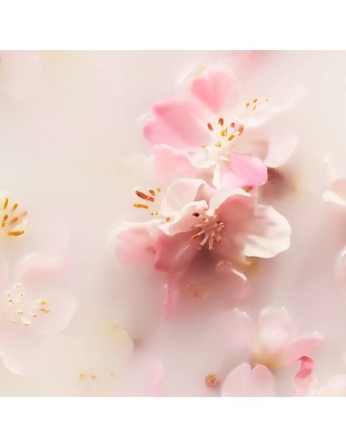 rituals_the_ritual_of_sakura_car_air_freshener_2_x_3_gr_ambientador_coche_8719134185072_promocion